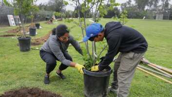 Arbor Day Tree Planting Volunteer Event