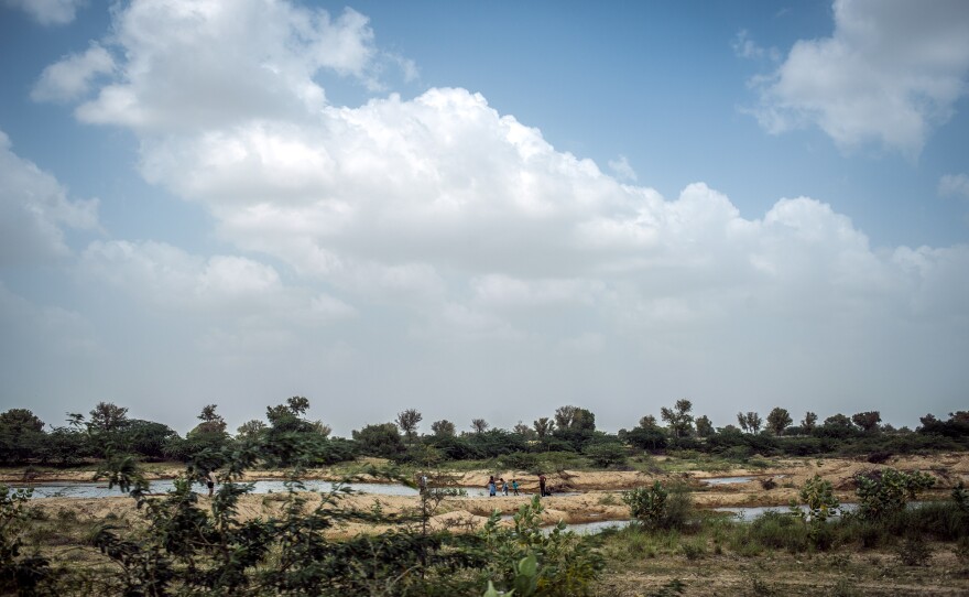 It's a 90-minute drive through scrubby, desert plains from the city of Jodhpur to Nimmu's village.