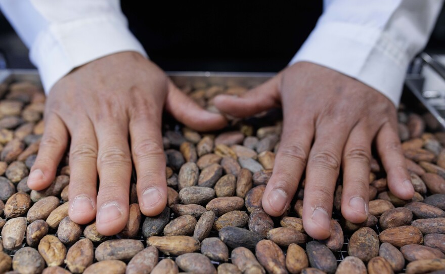 The beans are placed on a tray for roasting. This warming helps awaken the cacao into a fuller, more intoxicating version of itself.