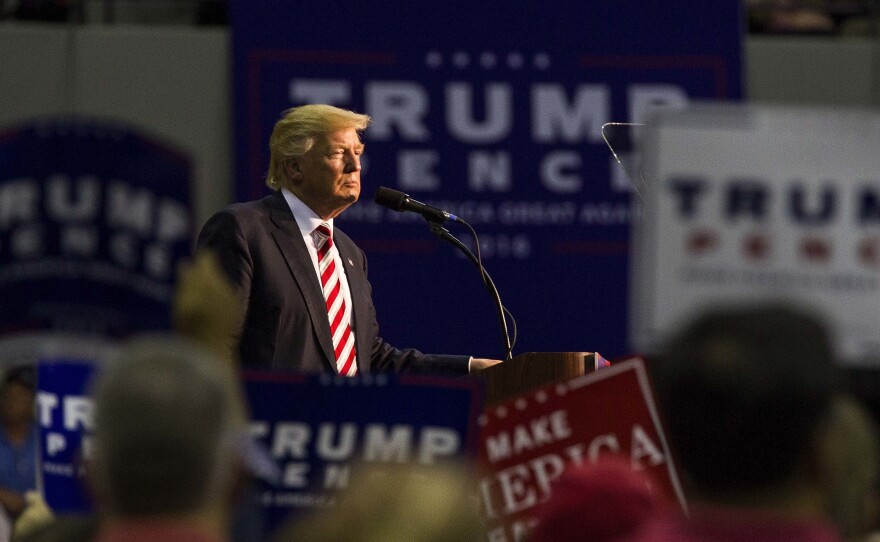Republican Presidential candidate Donald Trump speaks during his rally at the Pensacola Bay Center on September 9 in Pensacola, Florida.