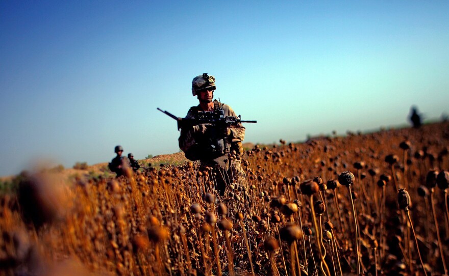 U.S. Marines patrol with Afghan forces through a harvested poppy field in Northern Marjah, Helmand Province, Afghanistan.