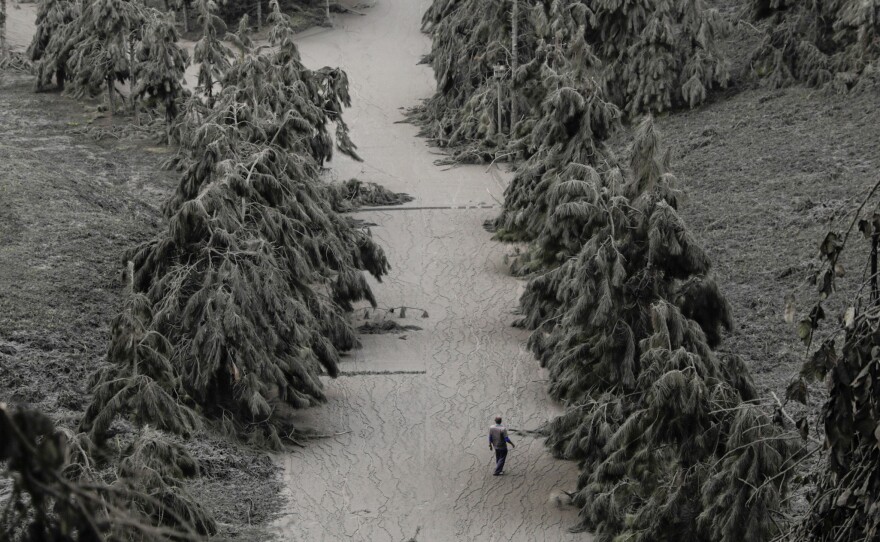A man walks on a road blanketed with volcanic ash from the erupting Taal Volcano in Tagaytay, Philippines, on Tuesday.