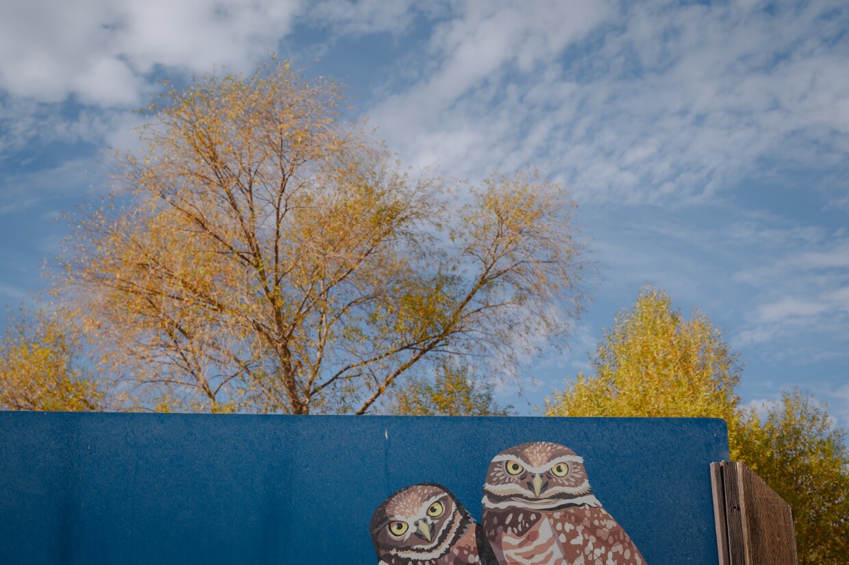 Illustrations of western burrowing owls greet visitors at the entrance to the Sonny Bono National Wildlife Refuge along the Salton Sea in Calipatria, California.