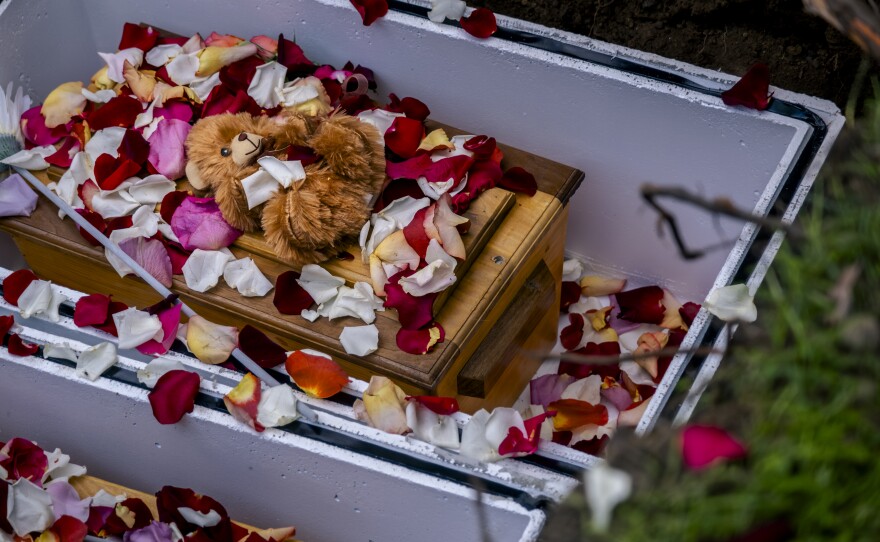 Attendees at the Garden of Innocence funeral drop rose pedals onto the coffins of an abandoned child inside its grave, San Diego, June 17, 2023.<br/>