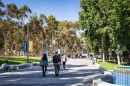 Students walk at UC San Diego in this undated photo. 