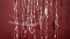 Siobhan Arnold's installation, "Hand of the Milkmaid," is made of wool, copper wire, found objects and paint, and is based on the research of Susan Kaech of NOMIS Center for Immunobiology and Microbial Pathogenesis. "Trifecta" opens Saturday, Sept. 25, 2021 at the La Jolla Historical Society.