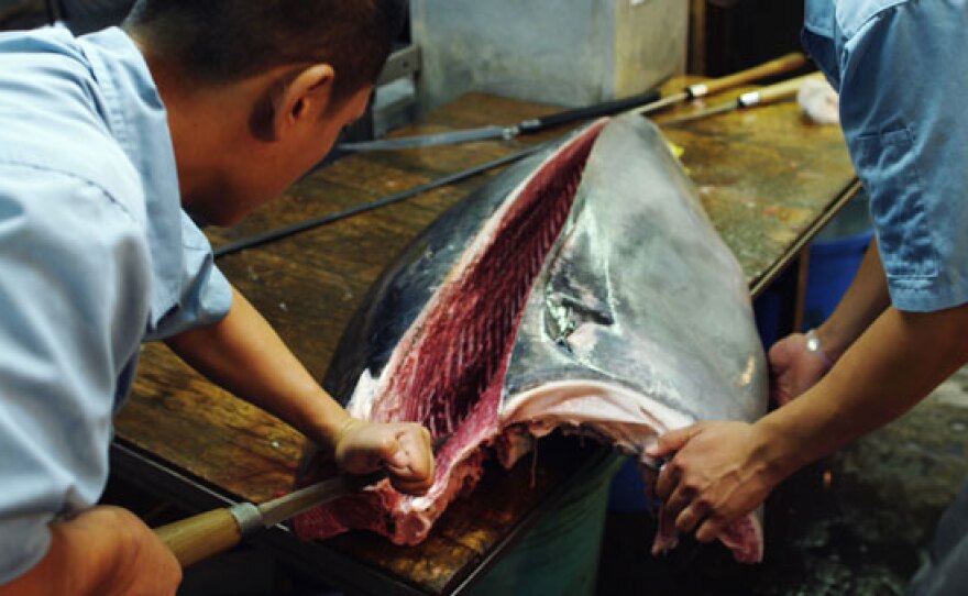 Cutting up fish. A scene from "Jiro Dreams Of Sushi," a Magnolia Pictures release.