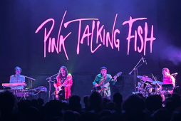 'Pink Talking Fish'