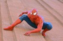 Steve Ditko is perhaps best known for his role in creating Spider-Man for Marvel Comics.