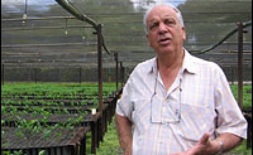 Claudio Dessimoni lost his cacao farm when it became infected with the witches'-broom fungus. Today he works at a government subsidized tree nursery, supplying all sorts of trees to local farmers.