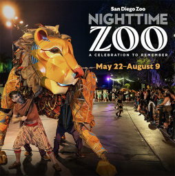 Nighttime Zoo
