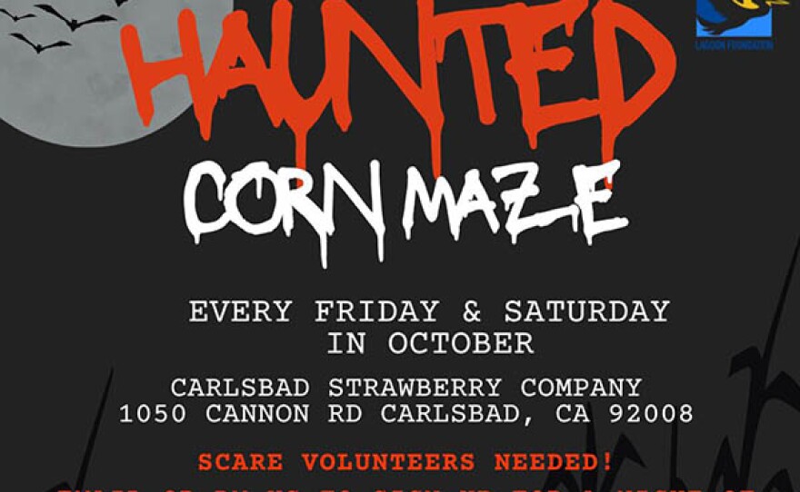 Haunted Corn Maze