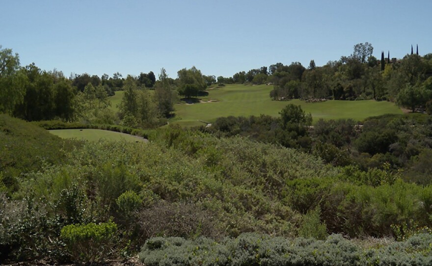Golf’s new landscape uses natives and low-water Mediterranean plants to fill in non-playable areas instead of using large expanses of turf.