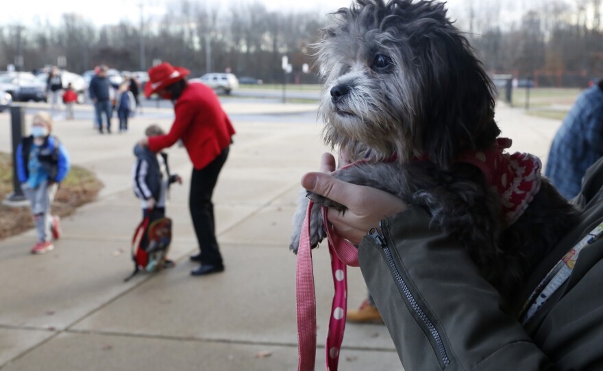 Trixie, a comfort dog, waits to greet students at the early elementary wing of the Paw Paw Elementary School in Paw Paw, Mich. Staff members, from teachers to kitchen staff and bus drivers, have received training in social-emotional support to help students, more of whom have struggled in the pandemic.