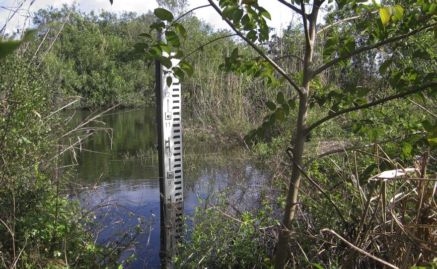 A water marker south of Tamiami Trail shows the current level, about 7.5 feet. Park hydrologists say that level will rise to nearly 10 feet, once the next phase of Everglades restoration is complete.