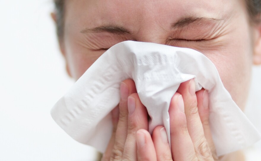 A new treatment for allergies is gaining popularity. Sublingual immunotherapy works to tame the immune response, much like allergy shots.