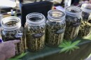 A vendor points to a selection of cannabis strains for sale during a 2018 marijuana festival in California.