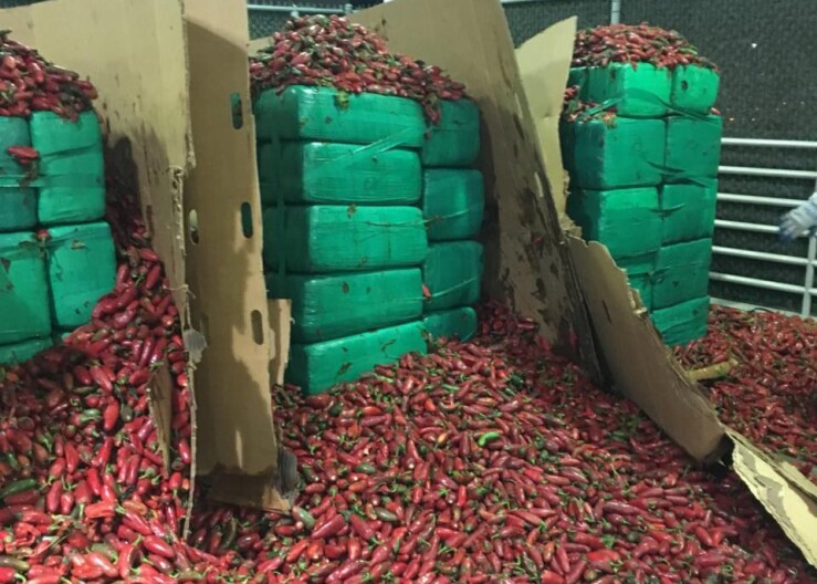 In this Thursday, Aug 15, 2019, photo released by U.S. Customs and Border Protection shows almost four tons of marijuana seized by Otay Mesa CBP officers. Officials say they seized $2.3 million worth of marijuana mixed in with a shipment of jalapeño peppers.