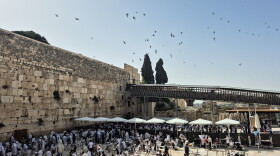 Swifts have been nesting in the Western Wall for centuries. Experts count at least 88 nests in the nooks and crannies of this holy site. The birds swoop and dive above the worshipers, catching insects to feed their young or encouraging their nestlings to take flight.