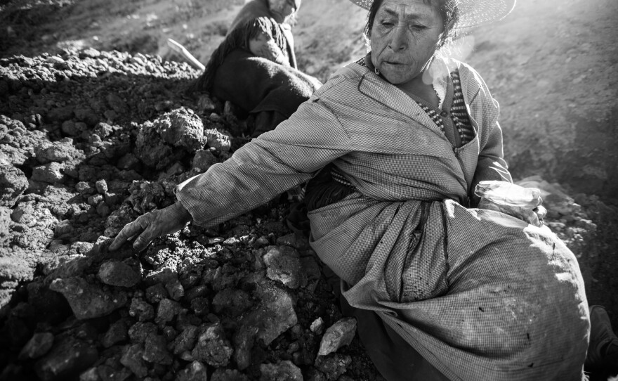 Most women do not enter the mines for cultural reasons, locals told photographer Francescangeli, because miners think of the earth as a woman. "A woman cannot enter another woman," they told him. Some women search for minerals outside the mines and others guard the tunnel entrances to keep unauthorized miners out, befriending stray dogs to help them keep watch.