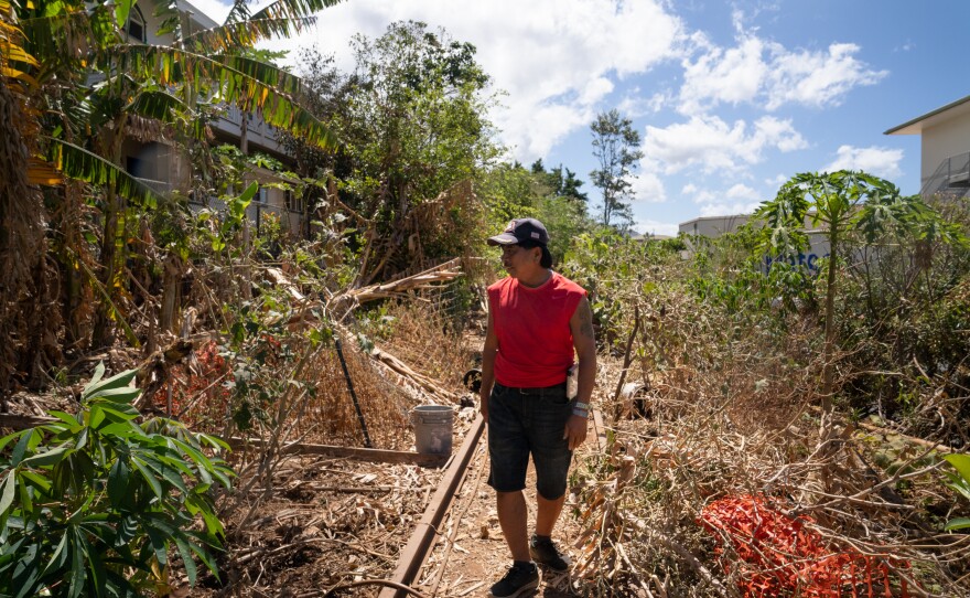 Andres walks near the garden that he grows outside of his home. Without water at the house many of the plants have dried up.
