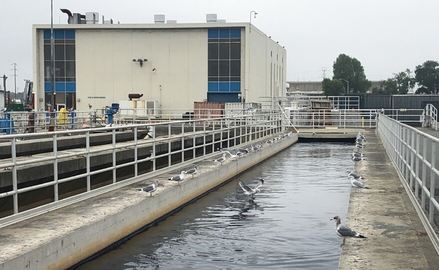 The wastewater facility in San Jose, Calif., processes sewage from about 1.4 million people and 22,000 businesses. The facility is part of a network of communities testing their wastewater for omicron.