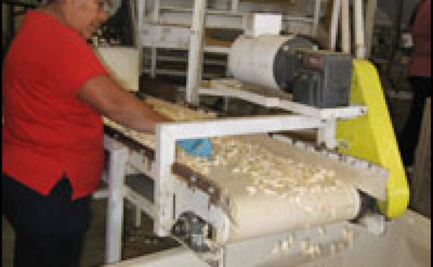 Mechanization has helped California garlic producers cut their labor costs. But California garlic still costs about twice as much as garlic imported from China.