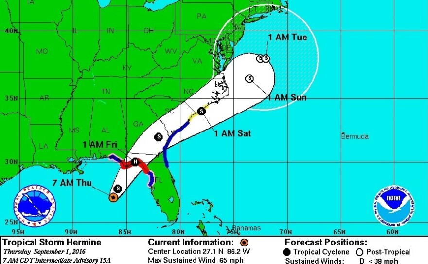 Hermine is expected to strengthen into a hurricane before making landfall north of Tampa, likely early Friday.
