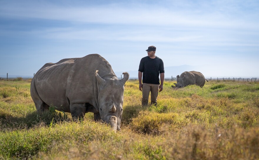 Shane travels to Kenya and meets on of the last two northern white rhinos on Earth, a species on the brink of extinction - a moment that hits hard. Shane explores the question we should all be asking: How did we get here?