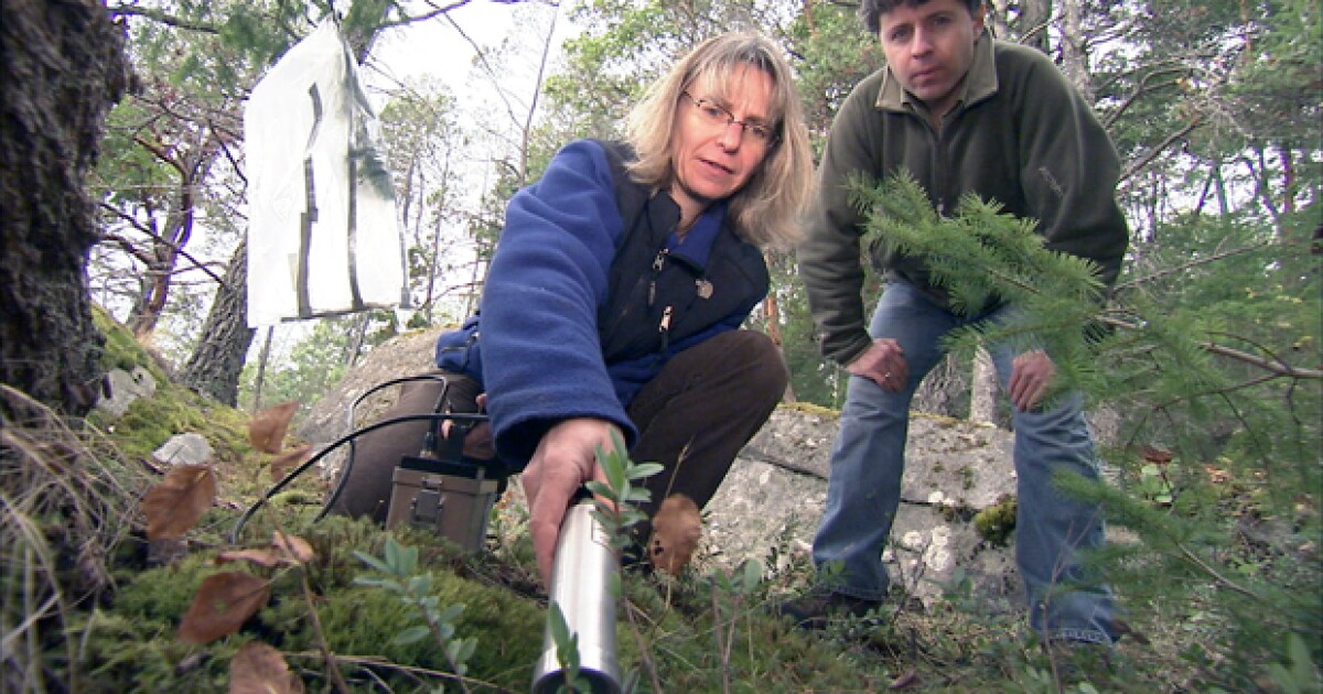 NATURE What Plants Talk About KPBS Public Media