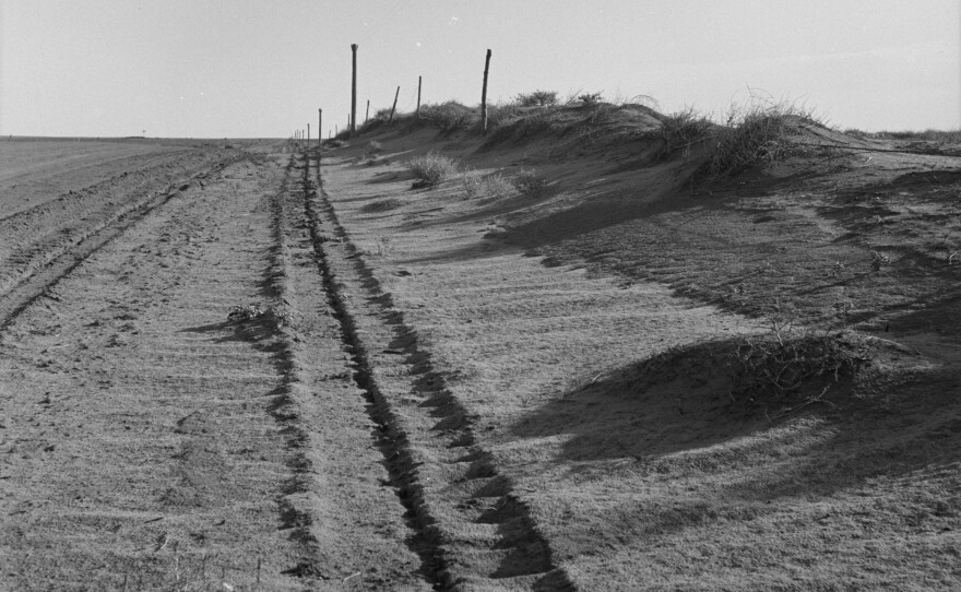 Sand drift along fence, north of Dalhart, Texas, June 1938.