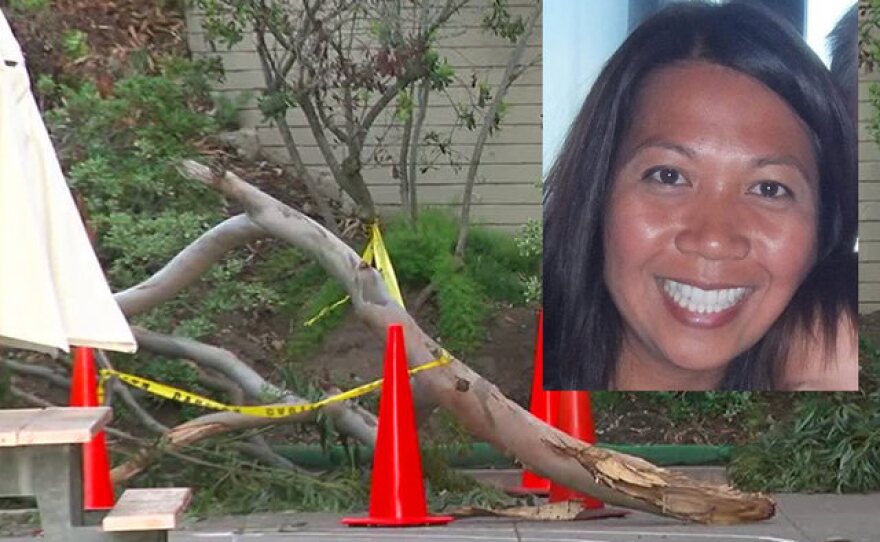 Miramar Ranch Elementary School instructor Lana O'Shea is pictured in the upper right. A falling eucalyptus tree branch injured O'Shea Wednesday, March 9, 2016.