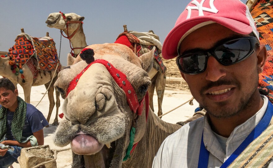 At the pyramids of Giza, Mahmoud Tayar and his camel, Charlie Brown, are gloomy about the steep drop in tourism to Egypt over the past five years.