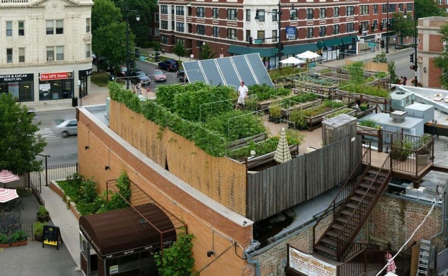 Uncommon Ground, a certified green restaurant in Chicago, hosts an organic farm on its rooftop.