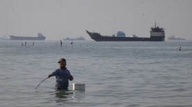 A man stands in the water, appearing to fish, as bulk carriers, cargo ships, and service vessels line the horizon in the Strait of Hormuz off Bandar Abbas, Iran, Monday, April 27, 2026.