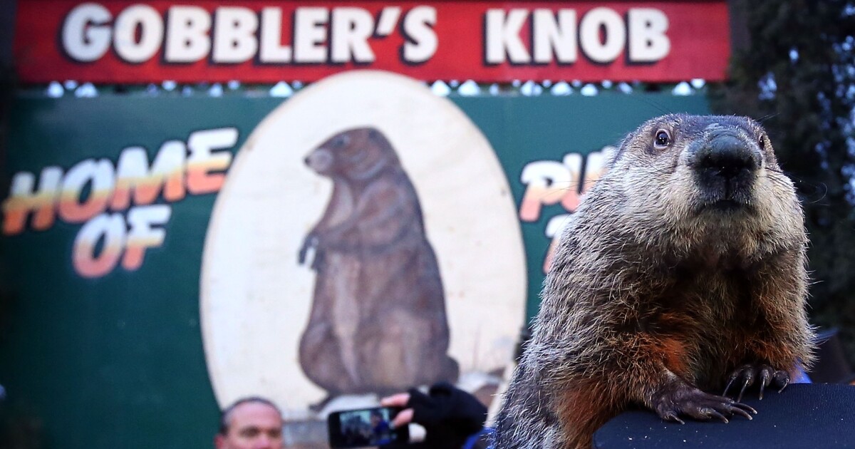 For Groundhog Day, Hear Public Radio's Records On Repeat KPBS Public