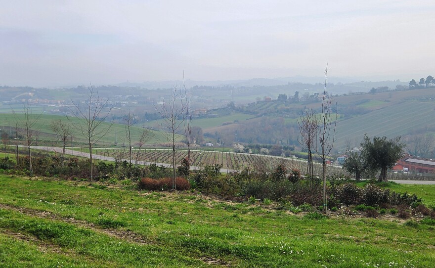 San Patrignano, established in 1978, is a rural community for people struggling with addiction that spreads over roughly 700 acres in the Italian countryside. Health Secretary Robert Kennedy has pointed to the community as a model for farm camps in the U.S.