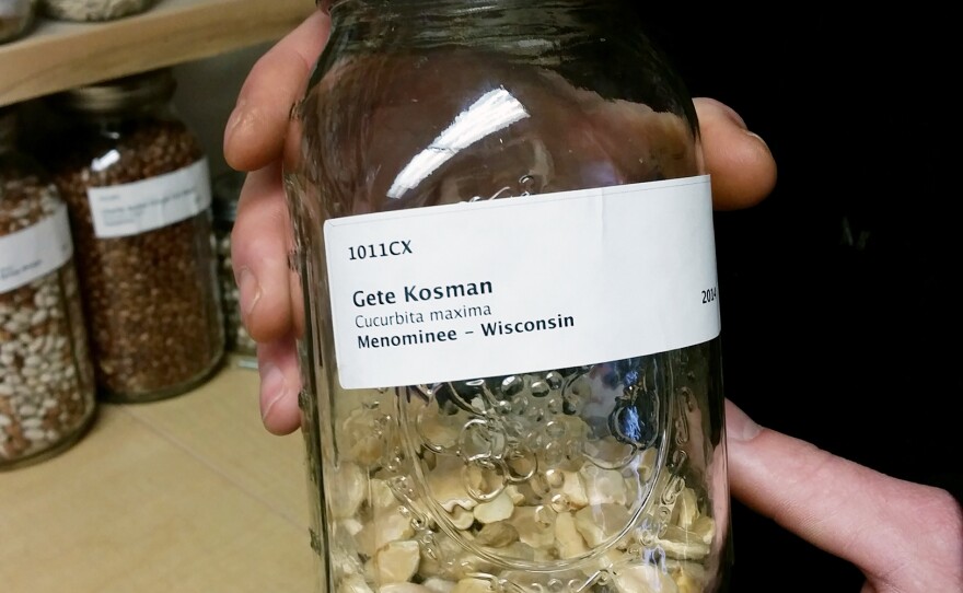 Seeds of the ancient squash, called Gete Okosman.