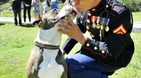 Diego the pit bull and owner reunite