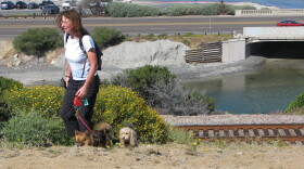 Veronica Gianecolla walking her dogs by the bridge next to Cardiff State Beach where the city removed the monster painting from a concrete space below Highway 101. May 27th 2011