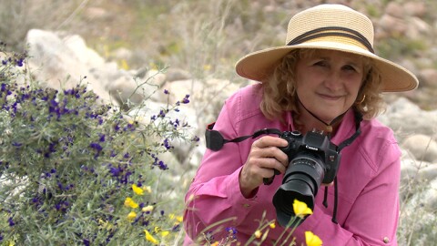 Come along with Host Nan Sterman (pictured) on an armchair tour of Southern California's amazing wildflower "super bloom" of winter 2018/2019.