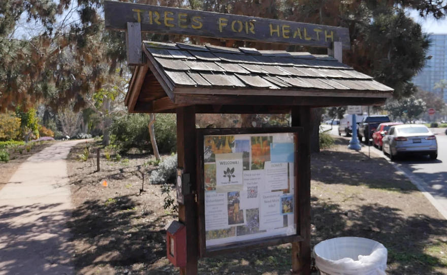 Trees For Health in Balboa Park.