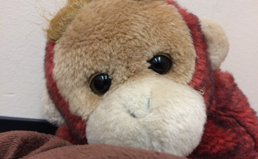 This monkey lives in Miss Terrie's Cozy Corner where, according to 5-year-old Madison, "you hug him, like this, if you want to make him real, but he's not real yet."