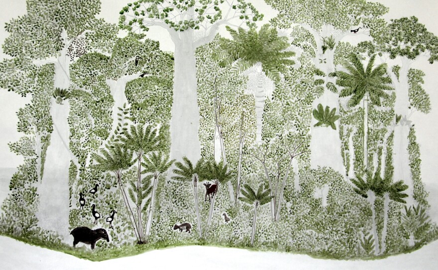 In each of Rodriguez's rainforest drawings, the vegetation and animal life is a little different, reflecting the season. 