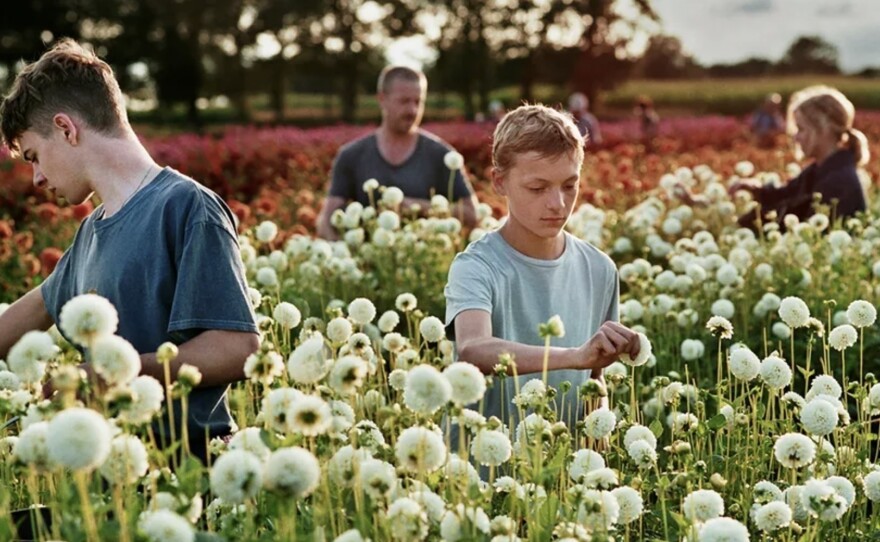 Rémi (Gustav De Waele) and Léo (Eden Dambrine) are childhood friends who begin to pull apart from each other in the Belgian film <em>Close</em>.