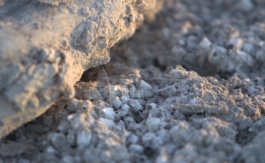 Close-up of the Salton Sea, Dec. 7, 2017.