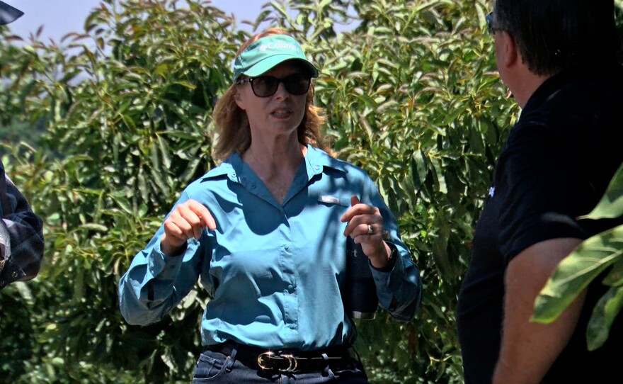 Jennifer Bantle is shown talking to KPBS reporter John Carroll at the ACA Groves Farm in Valley Center on July 11, 2025.
