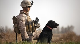 Marine in Afghanistan