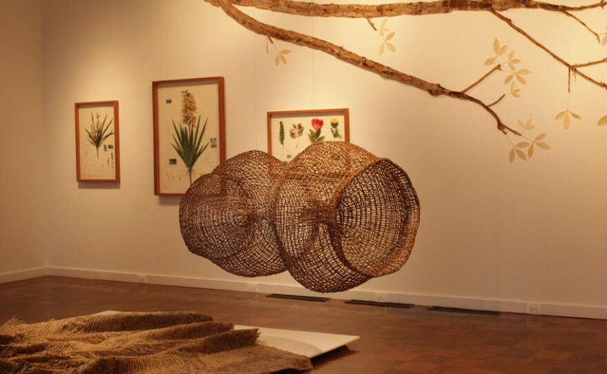 A woven fish trap by Abel Rodriguez hangs over artist Alberto Baraya's latex cast of a rubber tree.