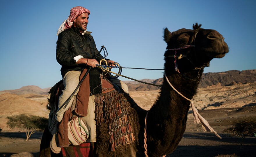 In ARABIA WITH LEVISON WOOD, the military-trained writer and photographer embarks on a rarely ventured route through the challenging environments and remote corners of a little-understood land — Arabia. In the process, he immerses himself in the region's cultures, revealing unique and powerful insights.